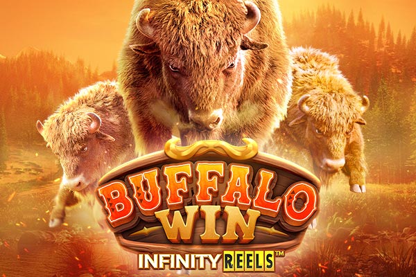Slots Shine Casino